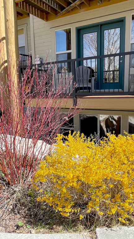 3612 N HUNTSMAN PATH #604 Eden, UT 84310