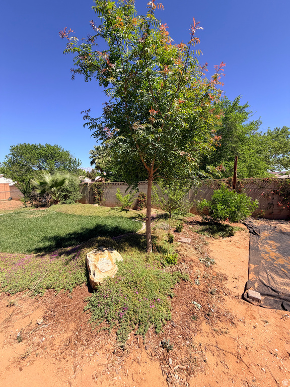 787 S 220 E Ivins, UT 84738