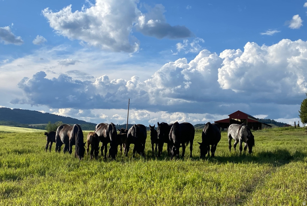 95 AUBURN FOREST RD Auburn, WY 83111