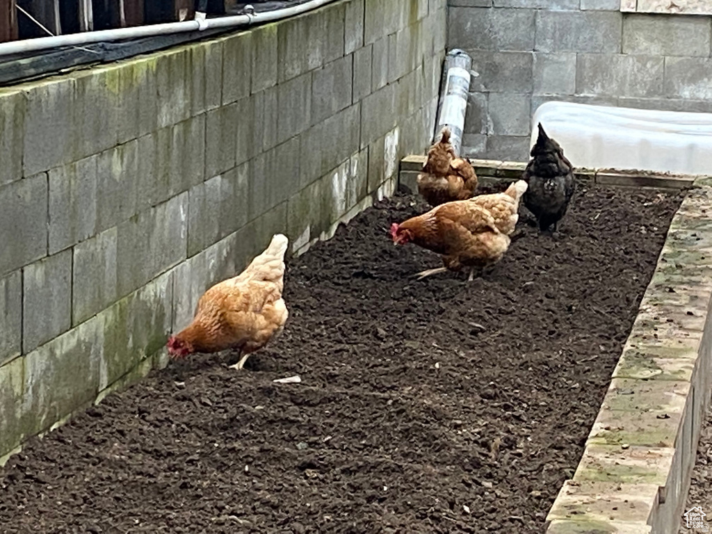 95 AUBURN FOREST RD Auburn, WY 83111