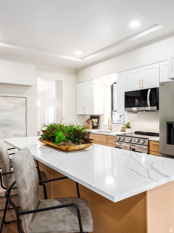 334 E BELDON PL Salt Lake City, UT 84111