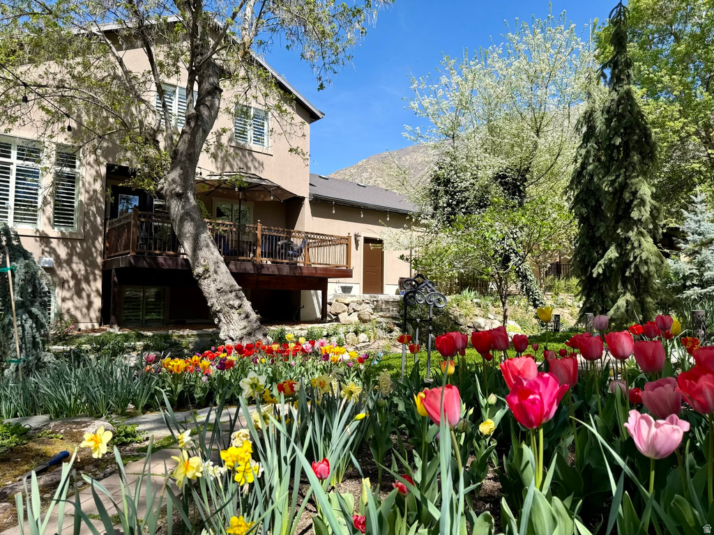 156 E STEED CT Farmington, UT 84025