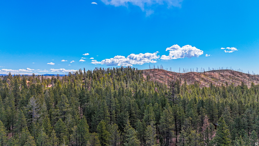 990 N PINE KNOLL CIR Duck Creek Village, UT 84762