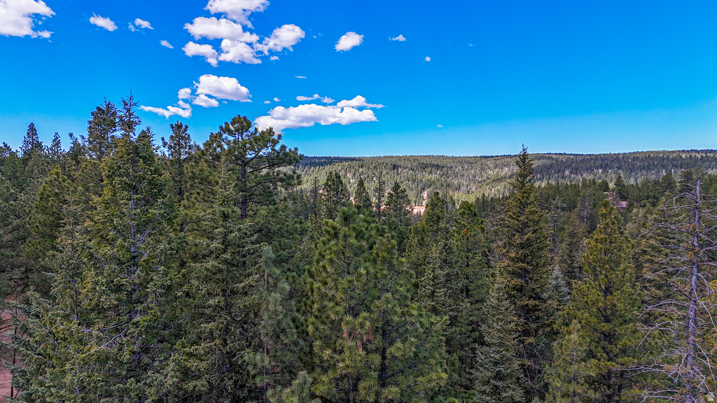 990 N PINE KNOLL CIR Duck Creek Village, UT 84762