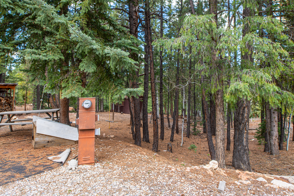 990 N PINE KNOLL CIR Duck Creek Village, UT 84762