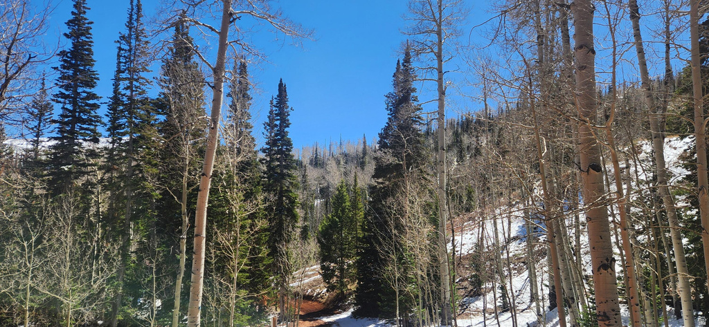 590 W KOKAPELLI Brian Head, UT 84719