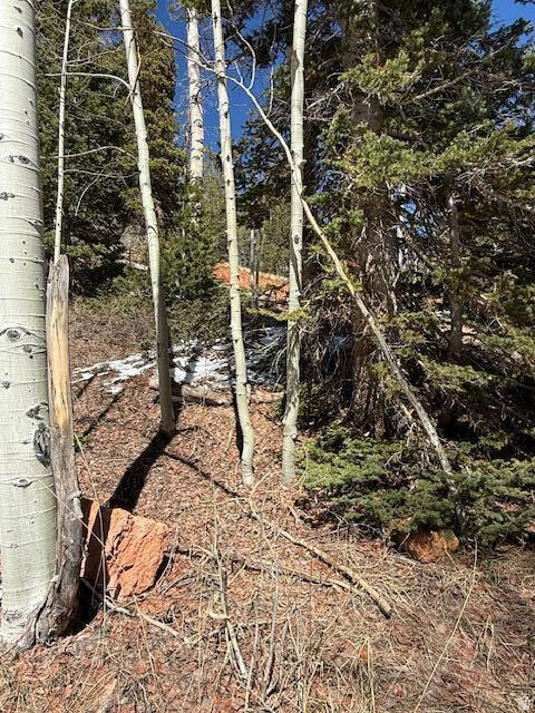 590 W KOKAPELLI Brian Head, UT 84719