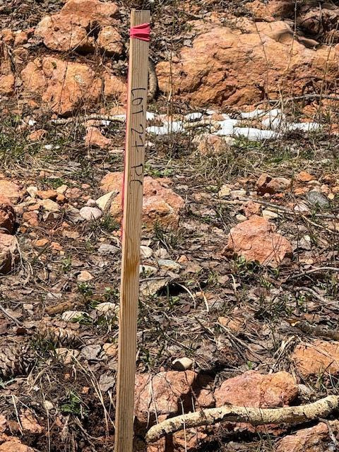 590 W KOKAPELLI Brian Head, UT 84719