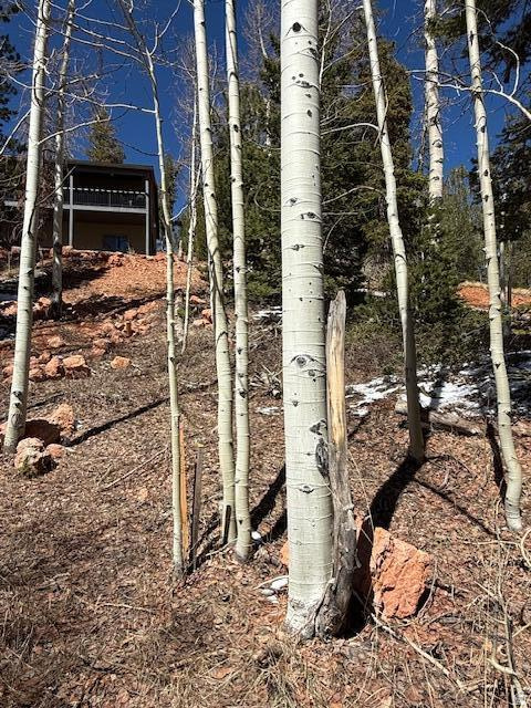 590 W KOKAPELLI Brian Head, UT 84719