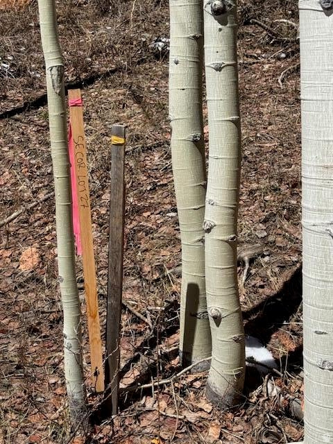 590 W KOKAPELLI Brian Head, UT 84719