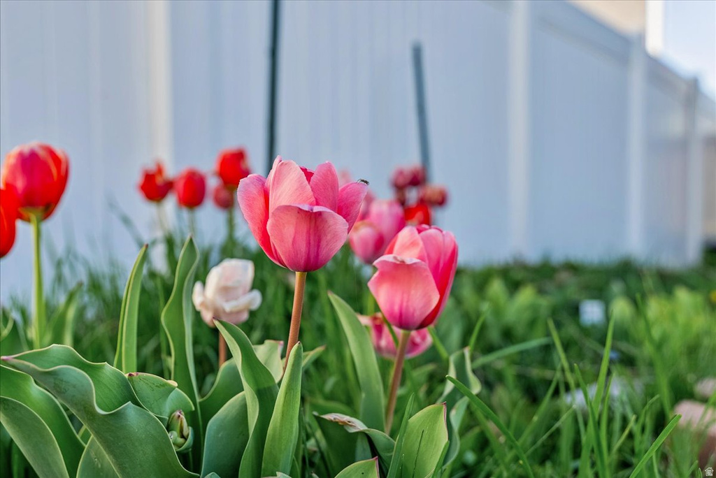 3580 S CLEARWATER WAY Syracuse, UT 84075