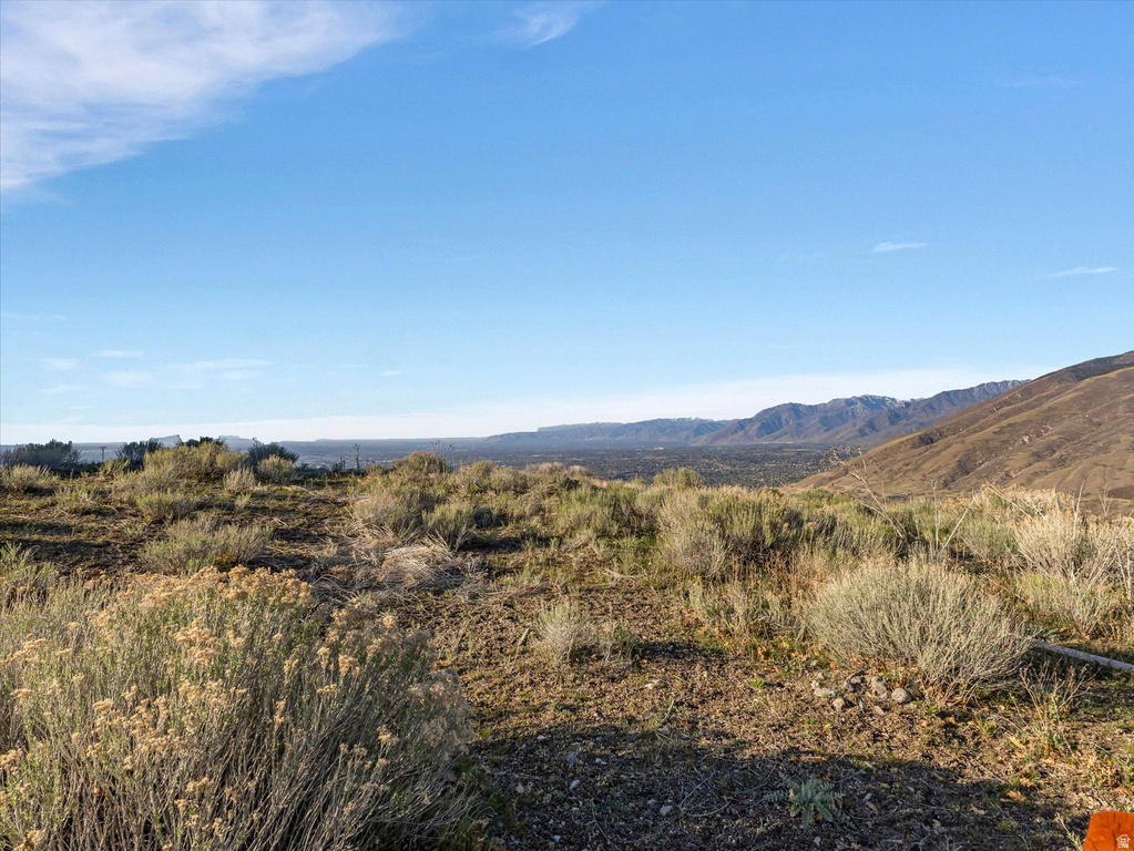 1293 E FAWN POINTE CT Draper, UT 84020