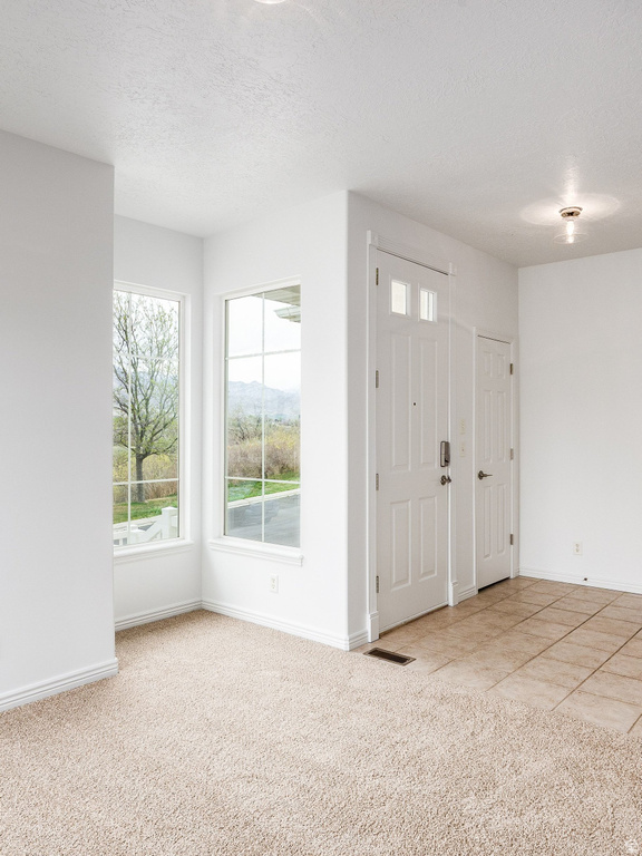 12514 S TITHING POINT DR Riverton, UT 84065