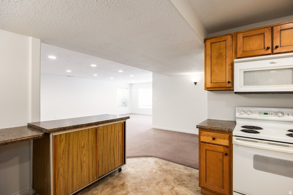 12514 S TITHING POINT DR Riverton, UT 84065