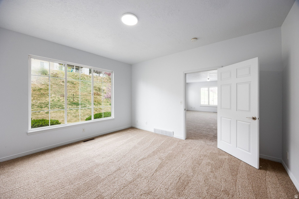 12514 S TITHING POINT DR Riverton, UT 84065