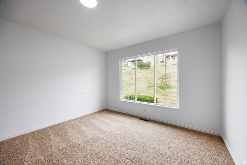 12514 S TITHING POINT DR Riverton, UT 84065