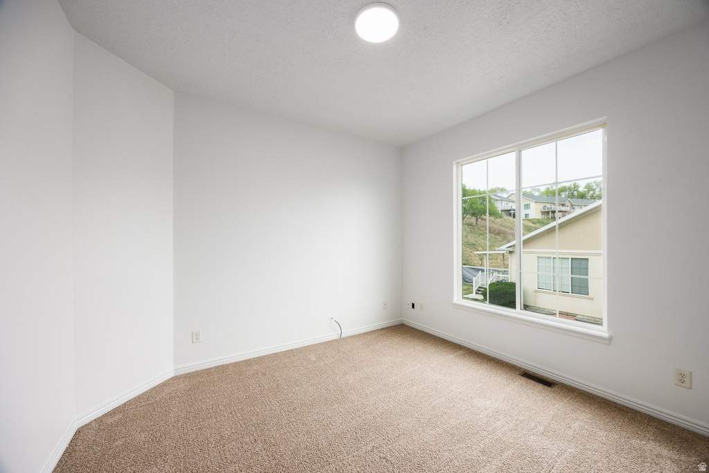 12514 S TITHING POINT DR Riverton, UT 84065