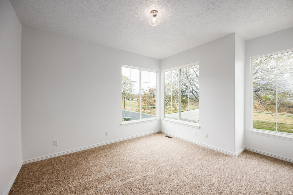 12514 S TITHING POINT DR Riverton, UT 84065