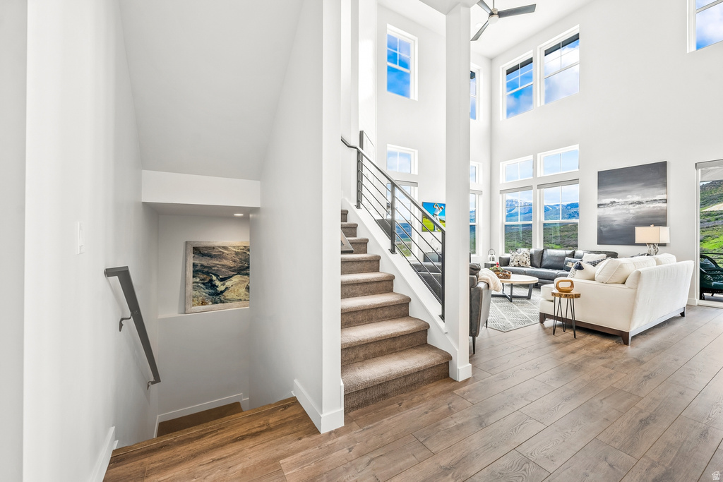 Staircase with hardwood / wood-style flooring and a high ceiling