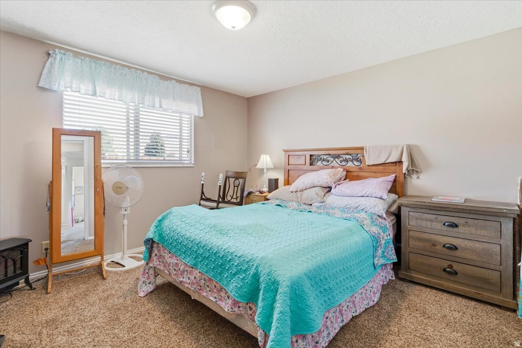 283 N 300 E Mt Pleasant, UT 84647