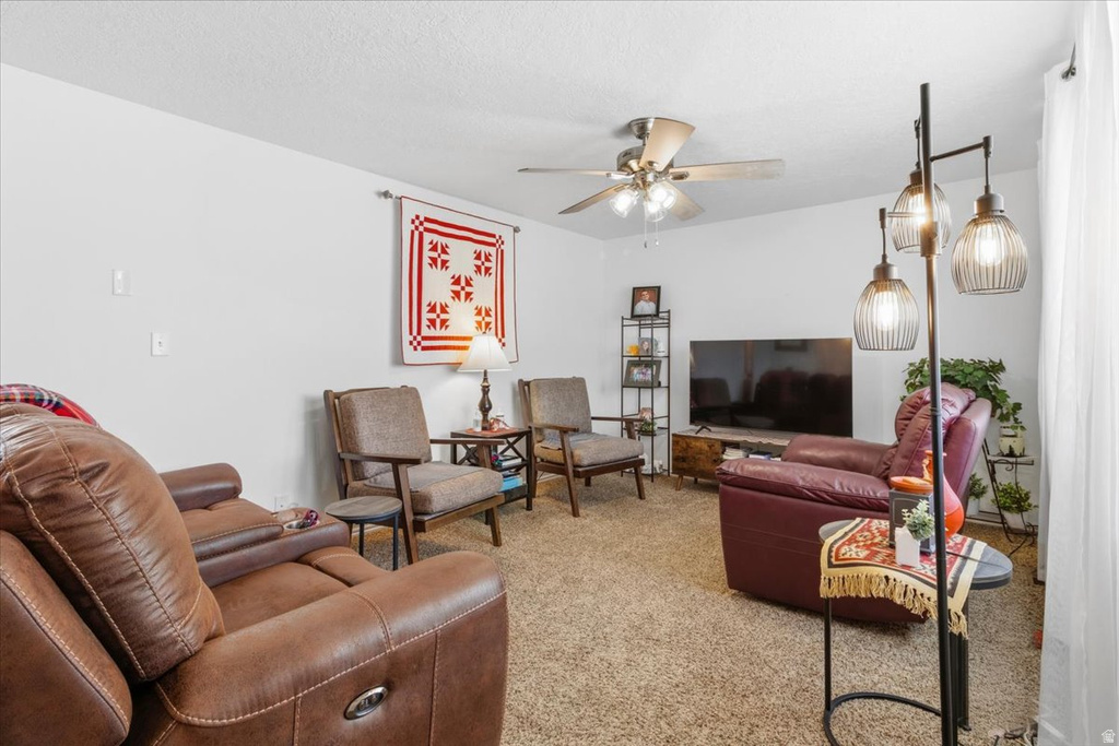 283 N 300 E Mt Pleasant, UT 84647