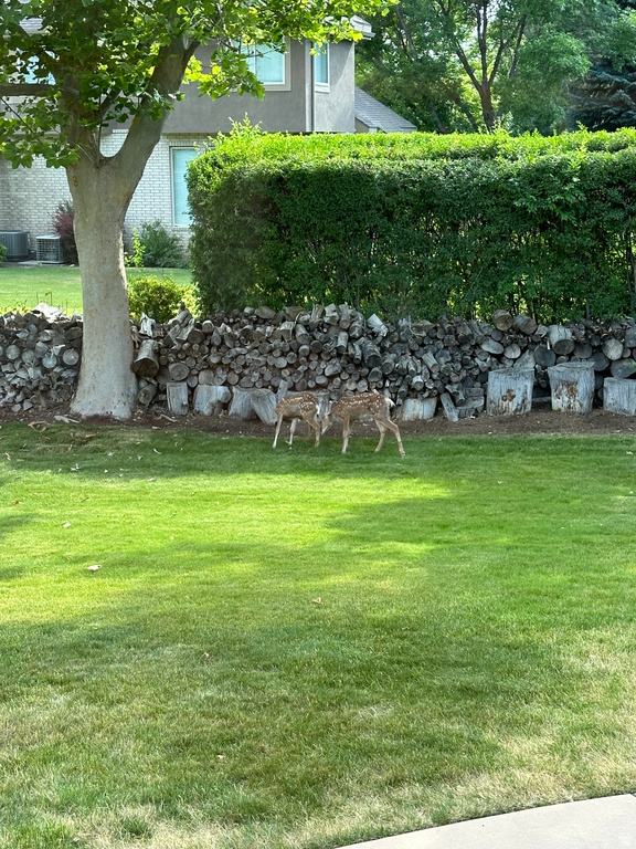 5105 W OLD OAK LN Highland, UT 84003