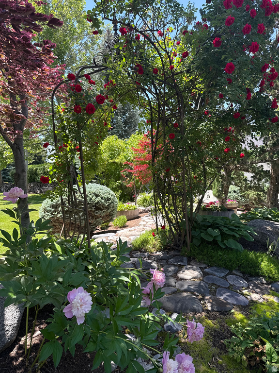 5105 W OLD OAK LN Highland, UT 84003