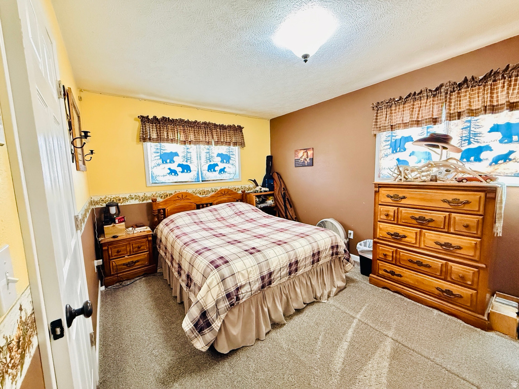 33595 N 8140 E Fairview, UT 84629