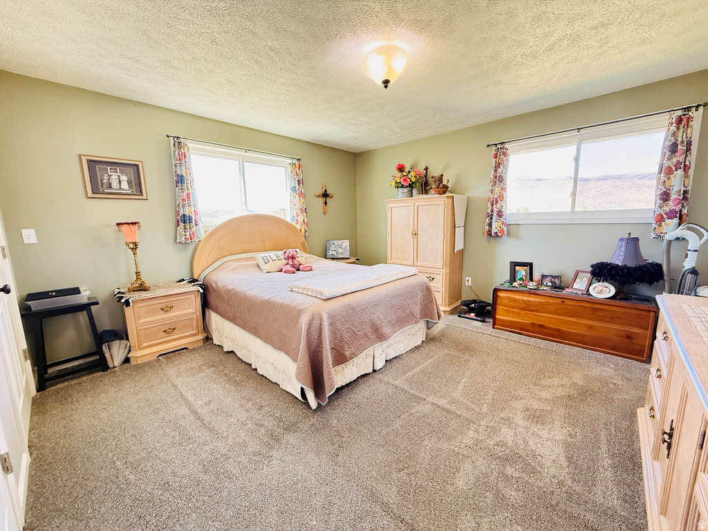 33595 N 8140 E Fairview, UT 84629