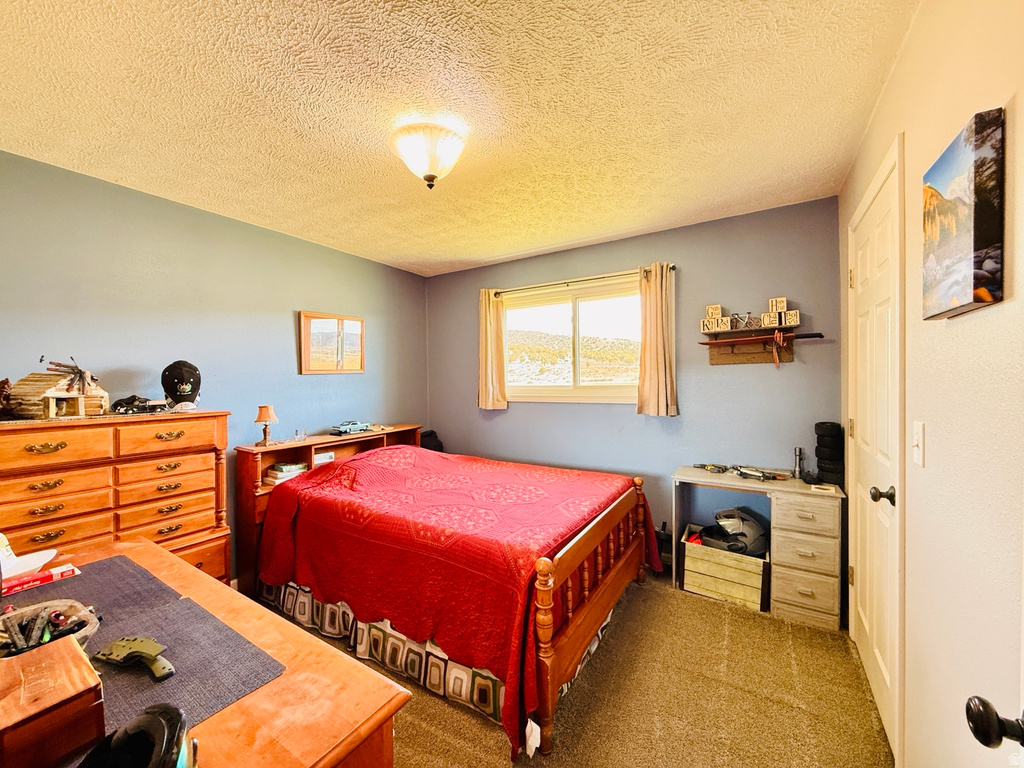 33595 N 8140 E Fairview, UT 84629