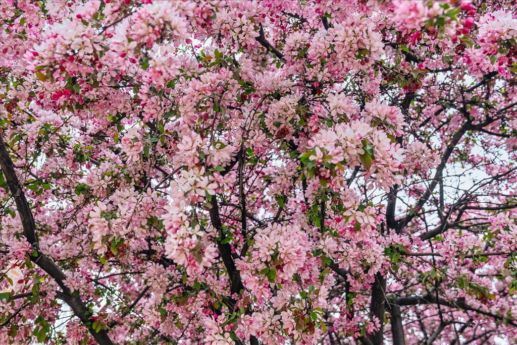 1095 E MARIWOOD CIR North Salt Lake, UT 84054