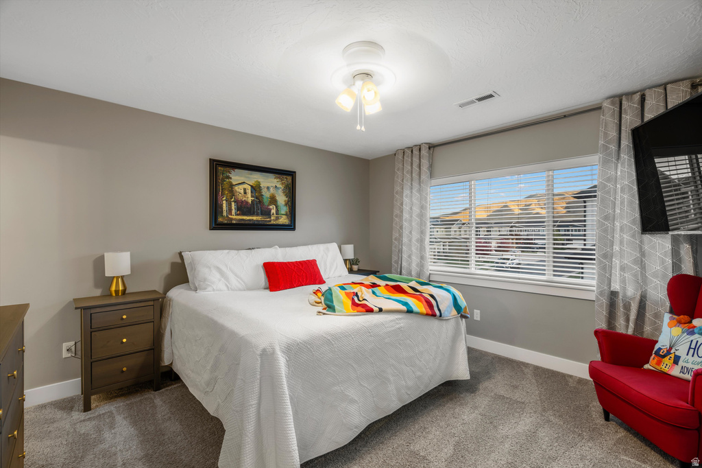 4206 GOOSEGRASS WAY Eagle Mountain, UT 84005