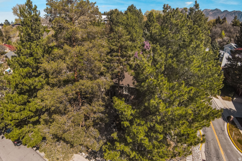 2555 E CHALET RD Cottonwood Heights, UT 84093