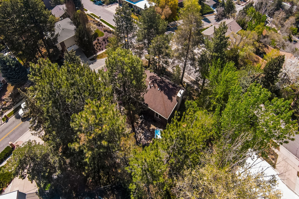 2555 E CHALET RD Cottonwood Heights, UT 84093