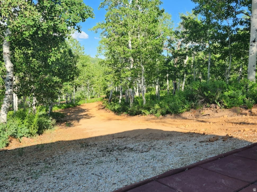 7347  JIM BRIDGER DR Huntsville, UT 84317