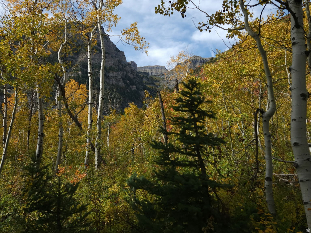 7347  JIM BRIDGER DR Huntsville, UT 84317