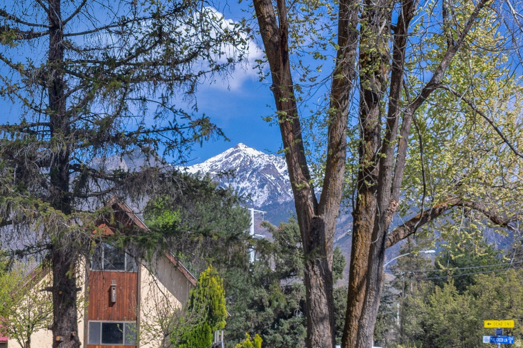 2249 E CREEK RD Cottonwood Heights, UT 84093