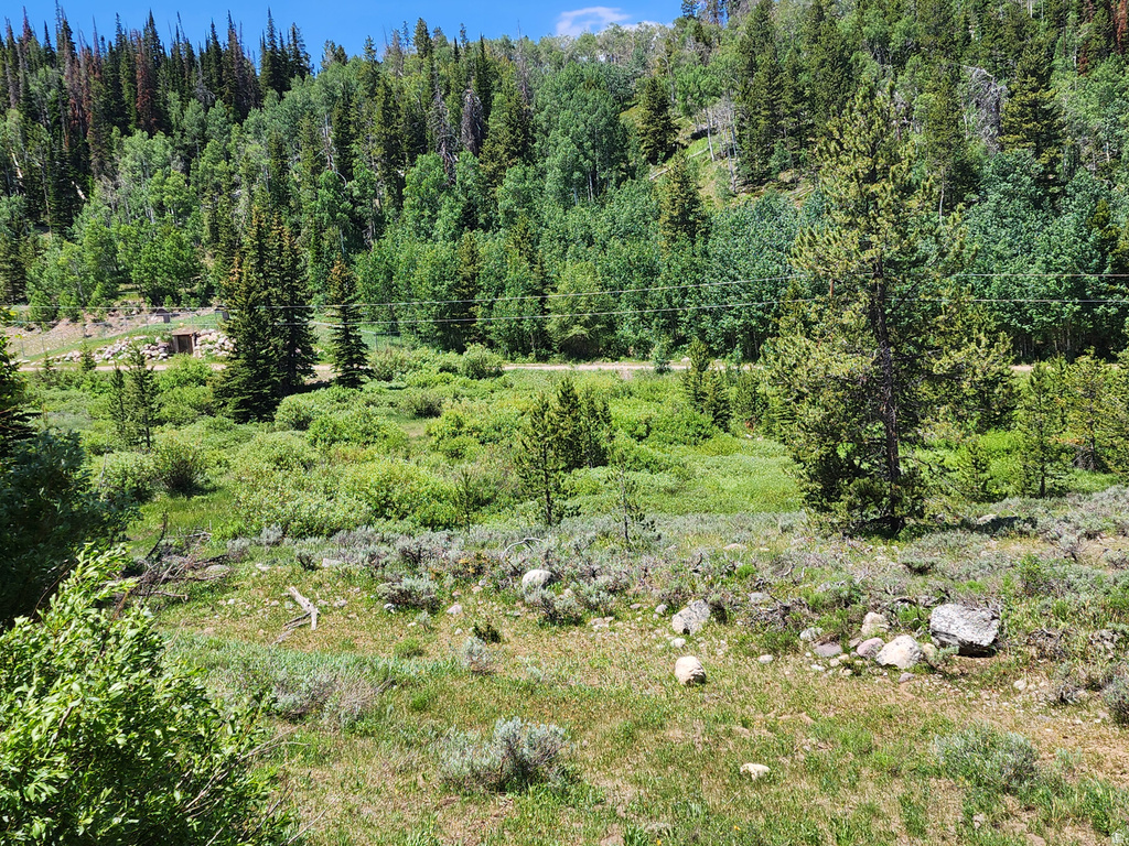 5041  COUGAR LN Kamas, UT 84036