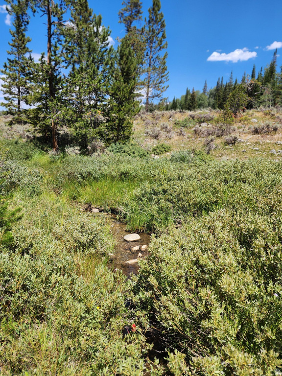 5041  COUGAR LN Kamas, UT 84036