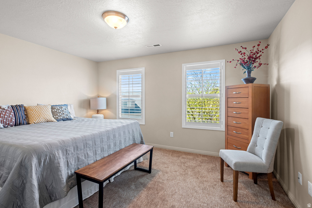 258 E TOPSPIN WAY Lehi, UT 84043