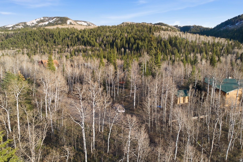 19 E UNCOMPAHGRE DR Oakley, UT 84055