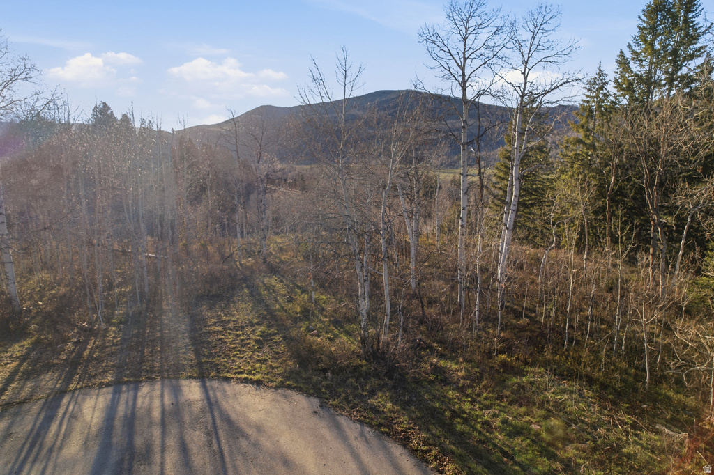 19 E UNCOMPAHGRE DR Oakley, UT 84055