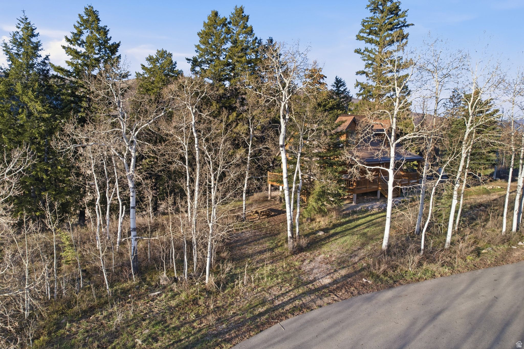 19 E UNCOMPAHGRE DR Oakley, UT 84055