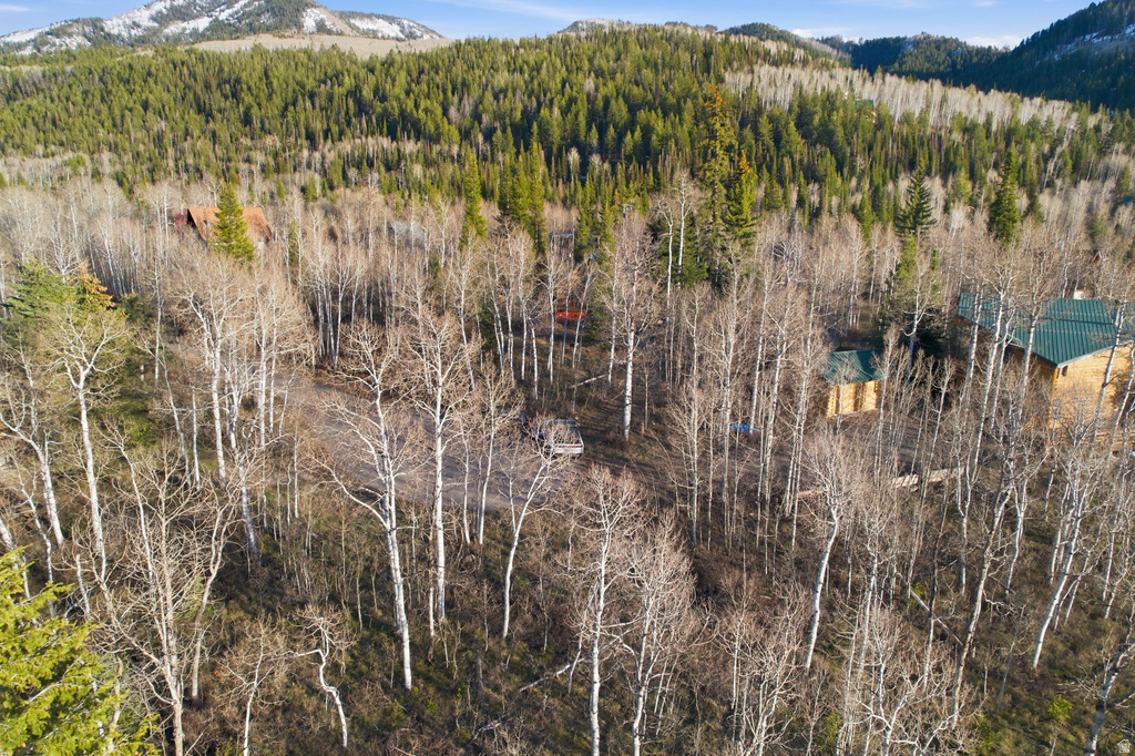 19 E UNCOMPAHGRE DR Oakley, UT 84055