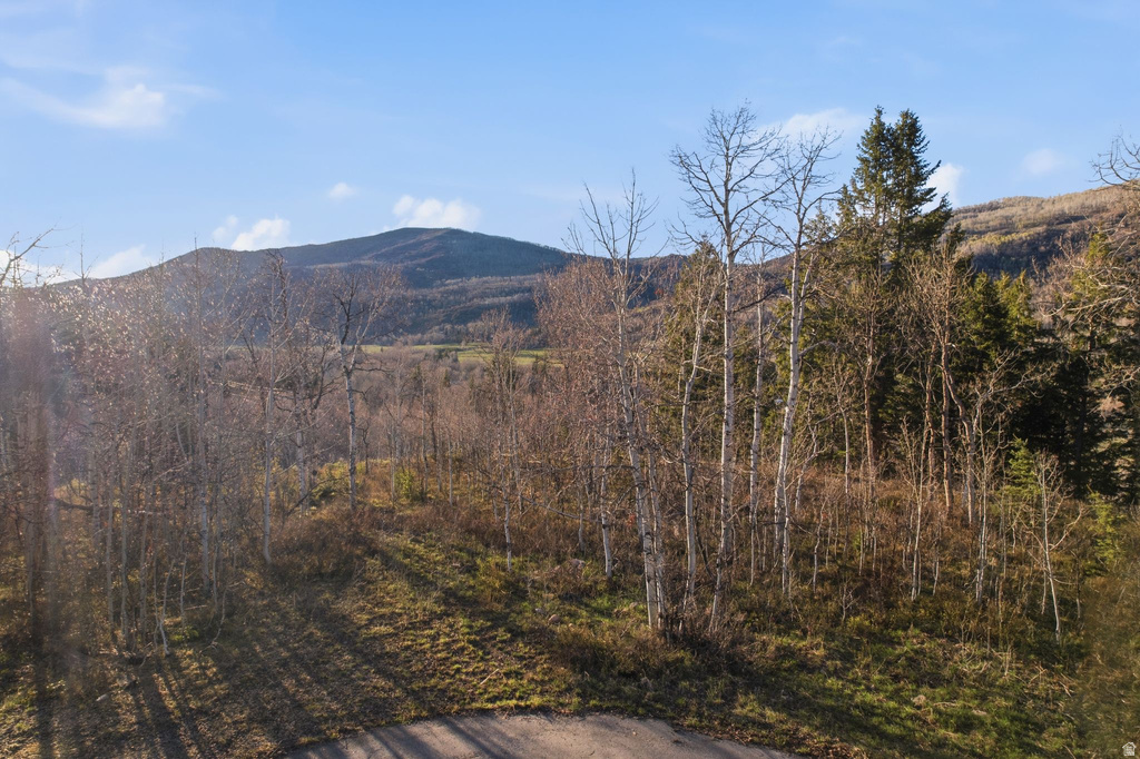 19 E UNCOMPAHGRE DR Oakley, UT 84055