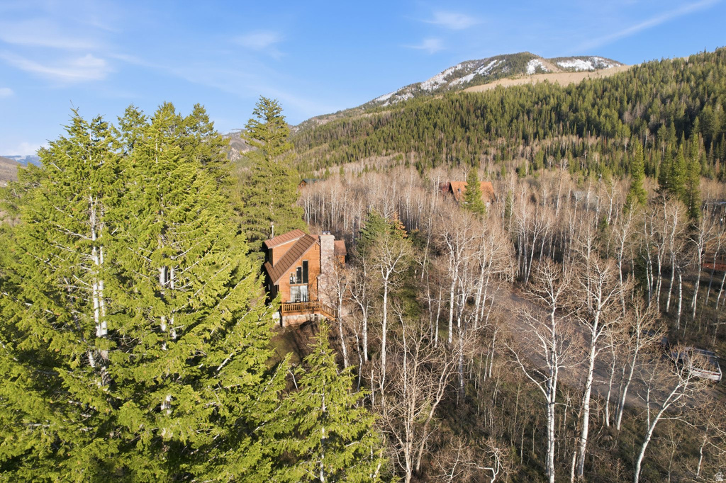 19 E UNCOMPAHGRE DR Oakley, UT 84055