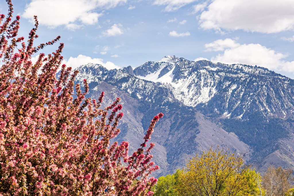 10251 S 535 E Sandy, UT 84070