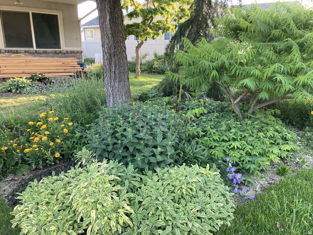 339 E 1900 N North Ogden, UT 84414