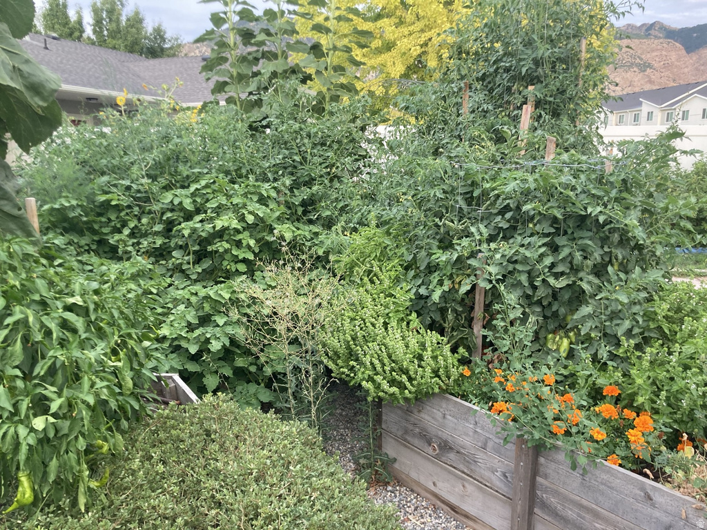 339 E 1900 N North Ogden, UT 84414