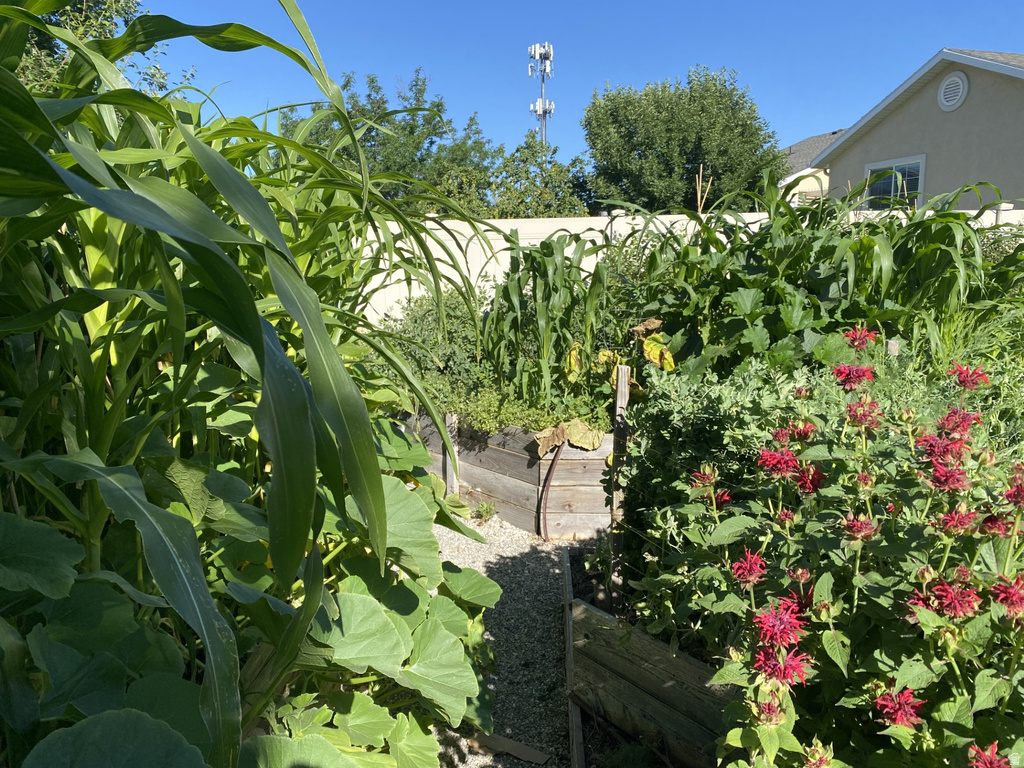 339 E 1900 N North Ogden, UT 84414